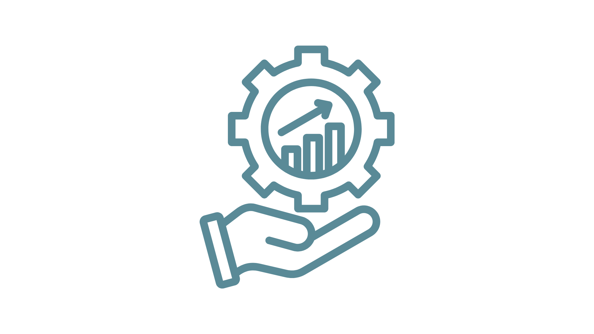 Digital Transformation & Capacity Building
